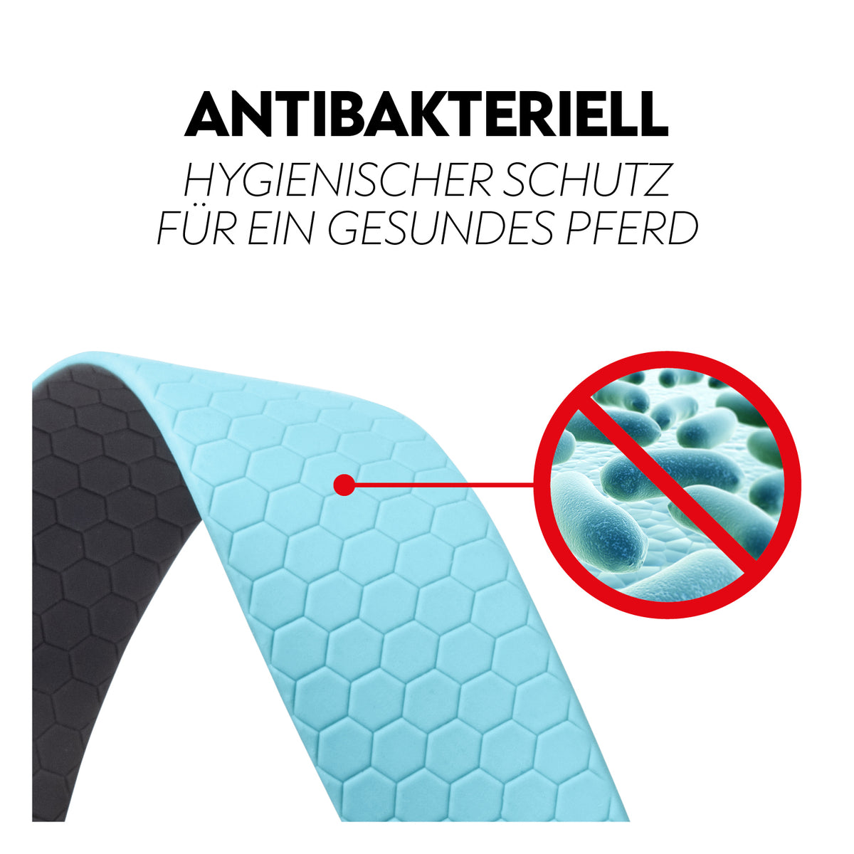 Biothane lungein-rein (8m)