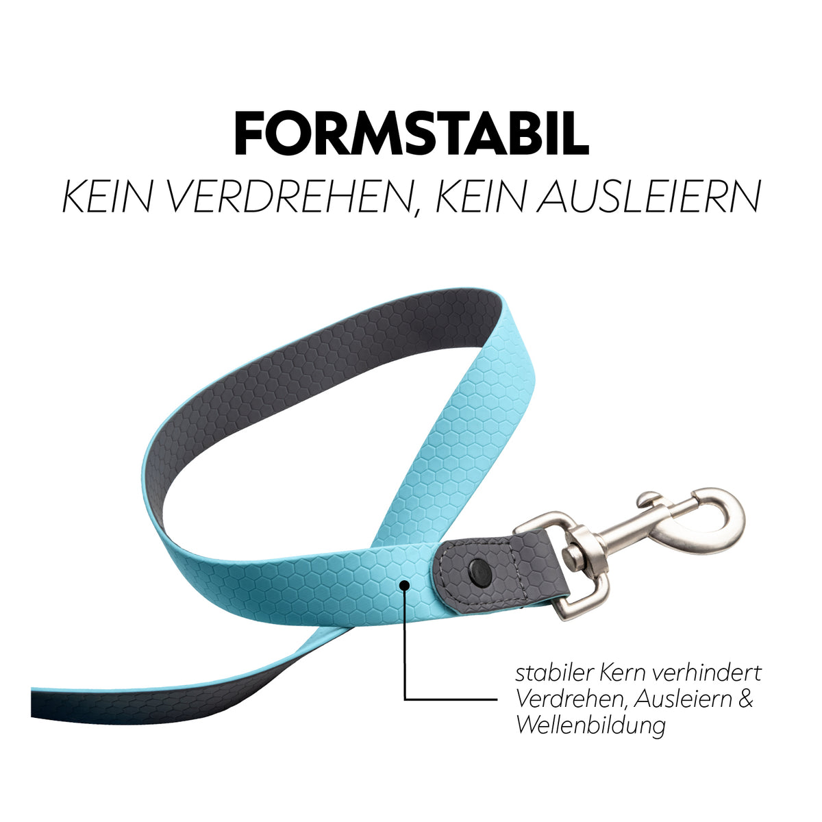 Biothane lungein-rein (8m)