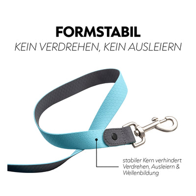 Biothane lungein-rein (8m)