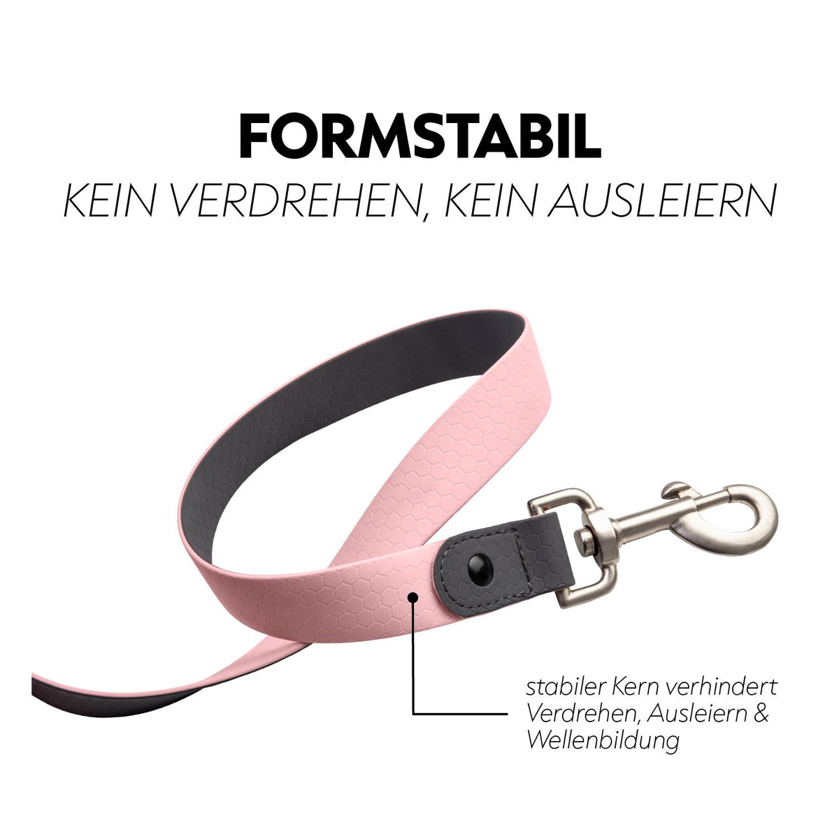 Biothane lungein-rein (8m)