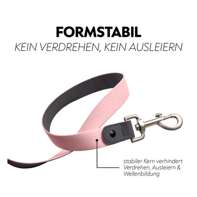 Biothane lungein-rein (8m)