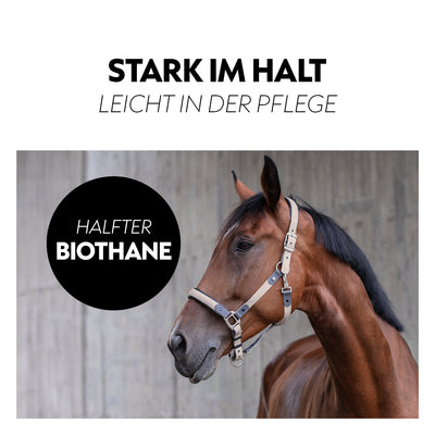 Biothane halter with lead rope