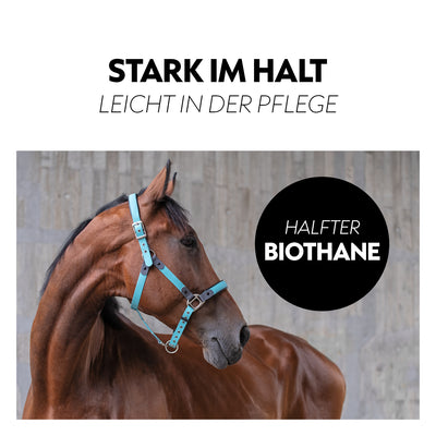 Biothane halter with lead rope