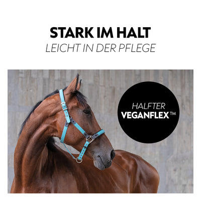 VeganFlex™ Halfter mit Strick