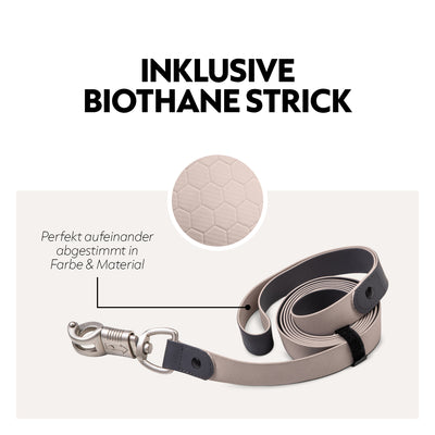 Biothane halter with lead rope