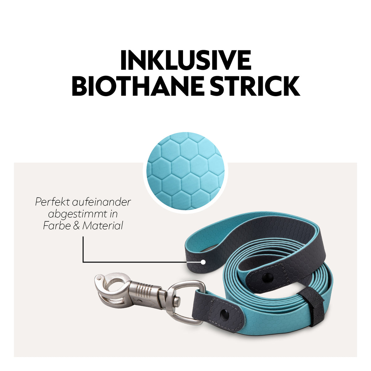 Biothane halter with lead rope