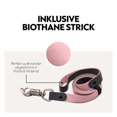 Biothane halter with lead rope