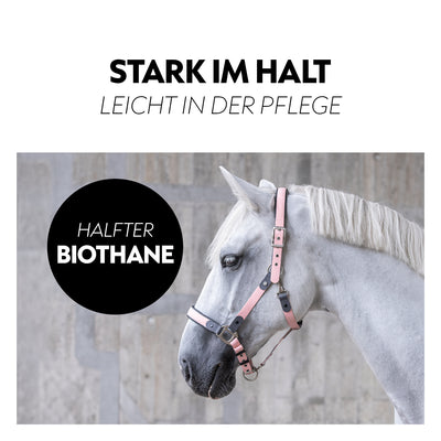 Biothane halter with lead rope