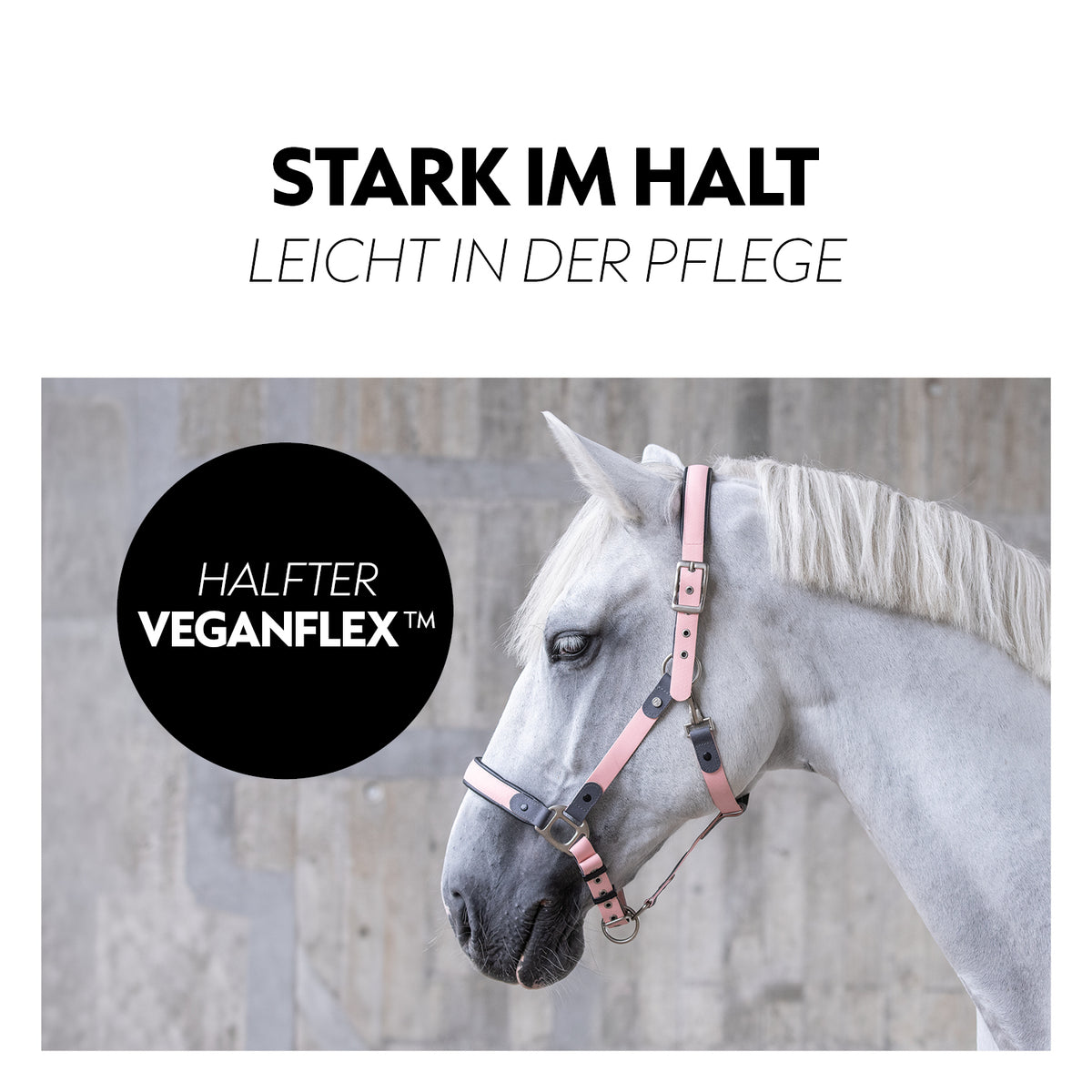 VeganFlex™ Halfter mit Strick