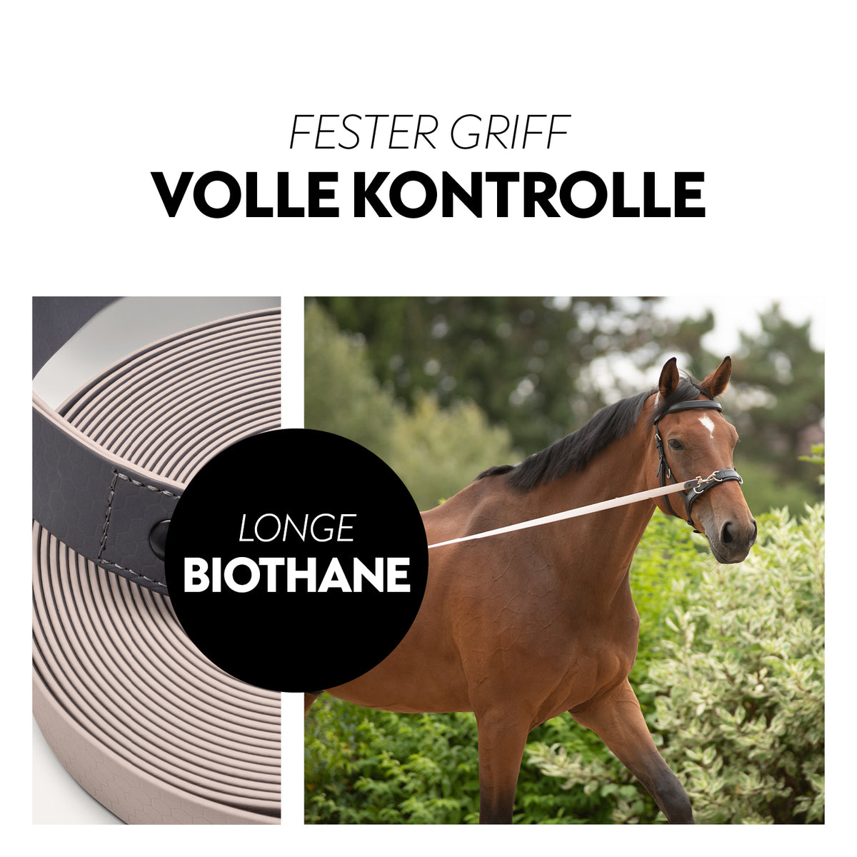 Biothane lungein-rein (8m)