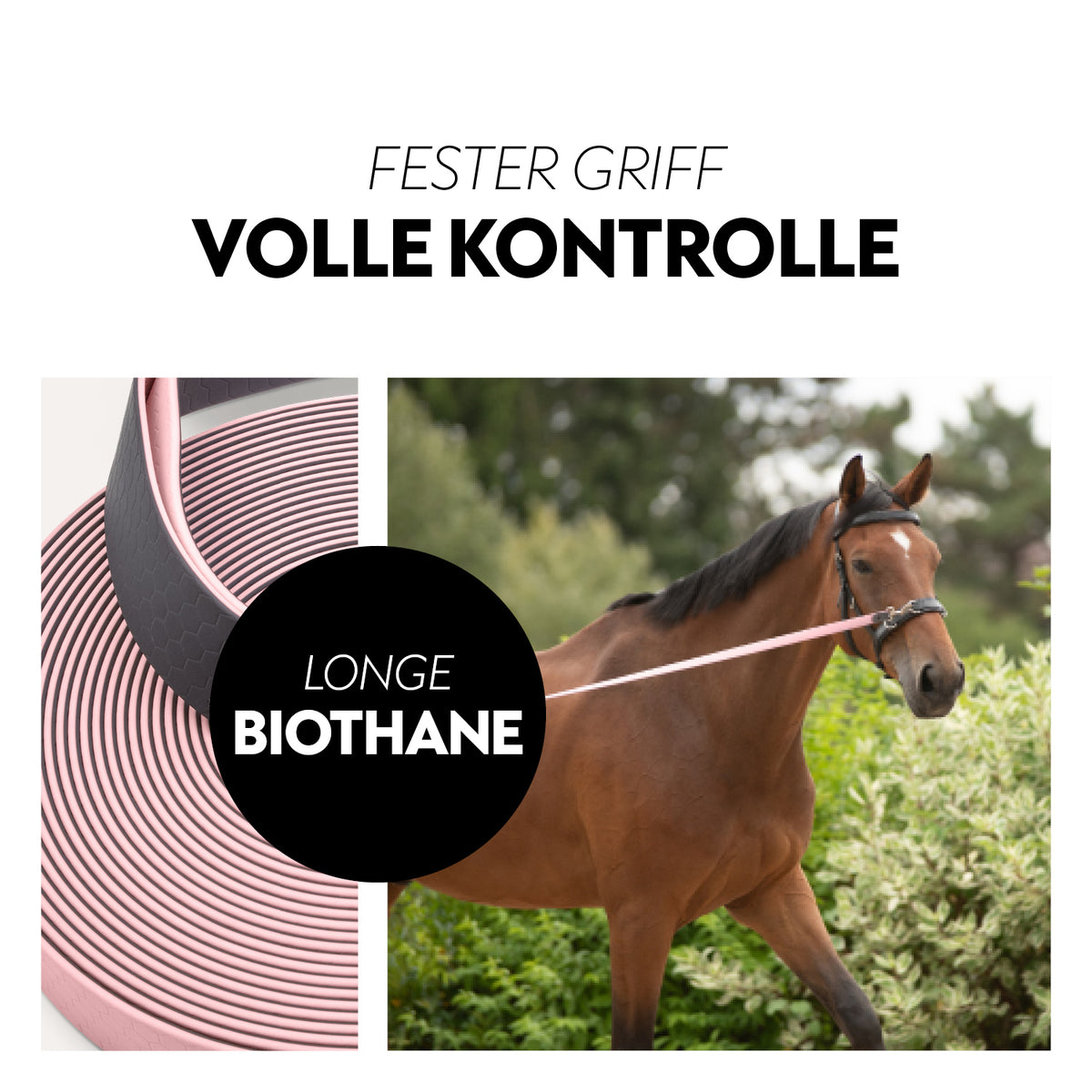 Biothane lungein-rein (8m)