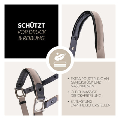 Biothane halter with lead rope