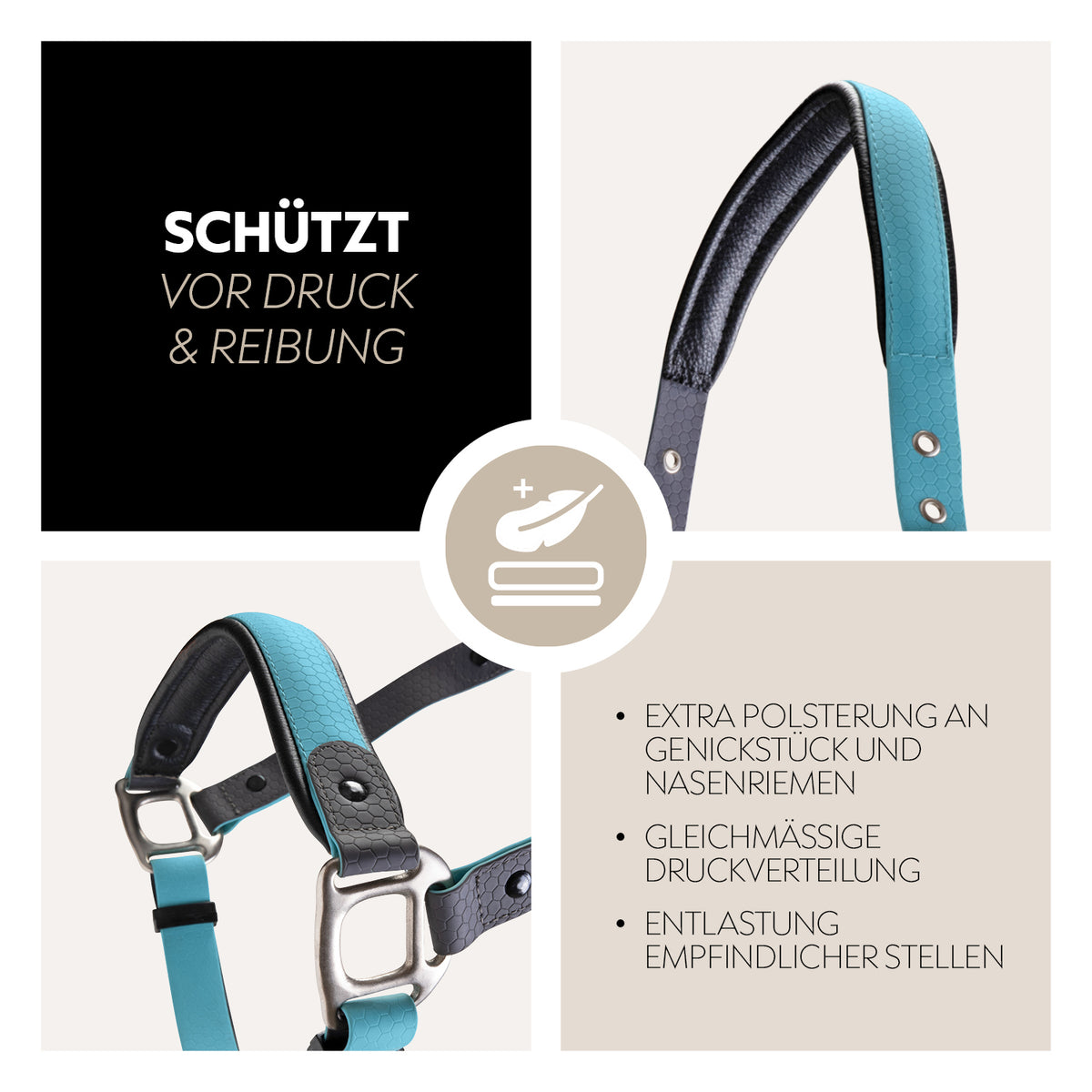 Biothane halter with lead rope