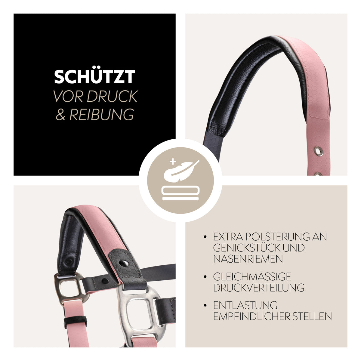 Biothane halter with lead rope