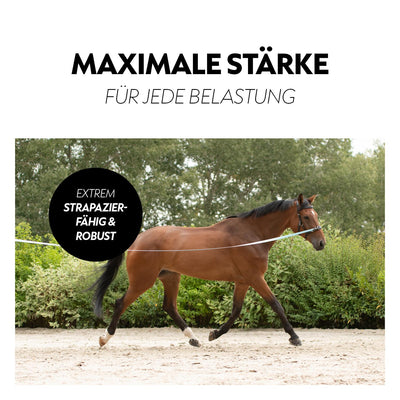 Biothane lungein-rein (8m)
