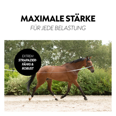 Biothane lungein-rein (8m)