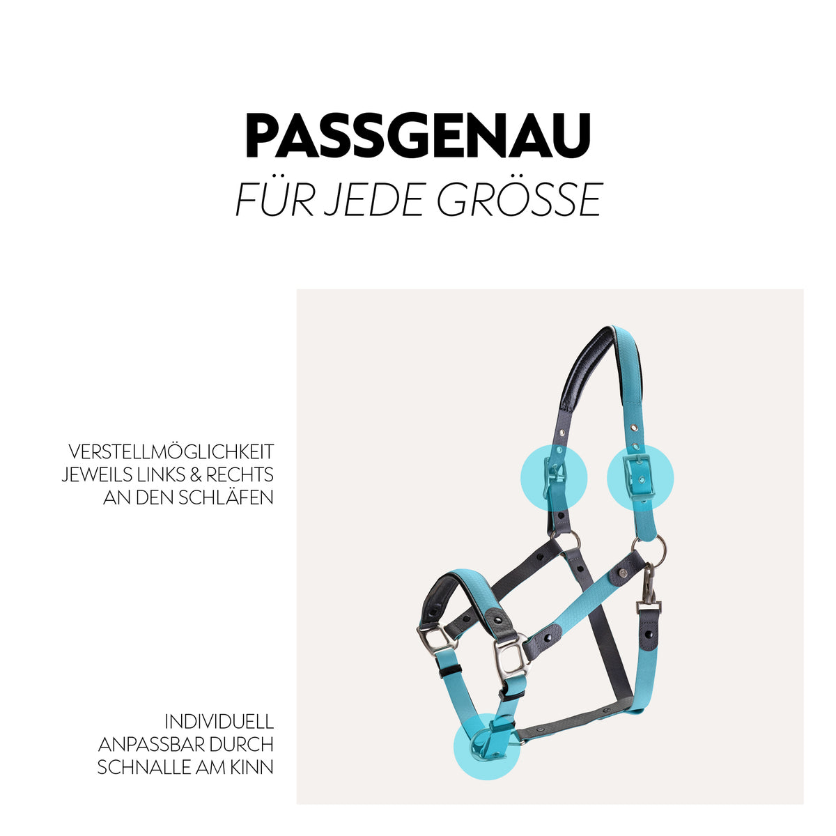 Biothane halter with lead rope