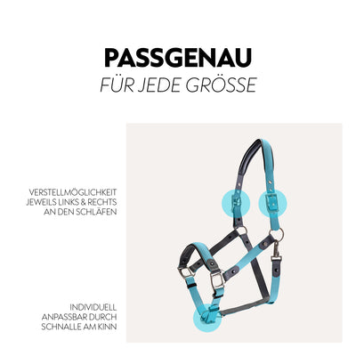 Biothane halter with lead rope