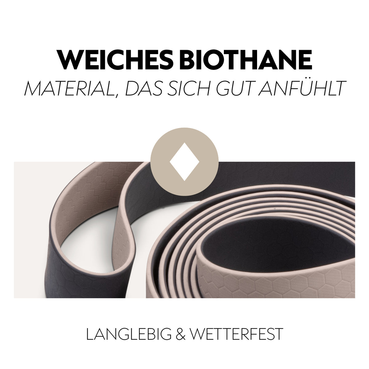 Biothane halter with lead rope