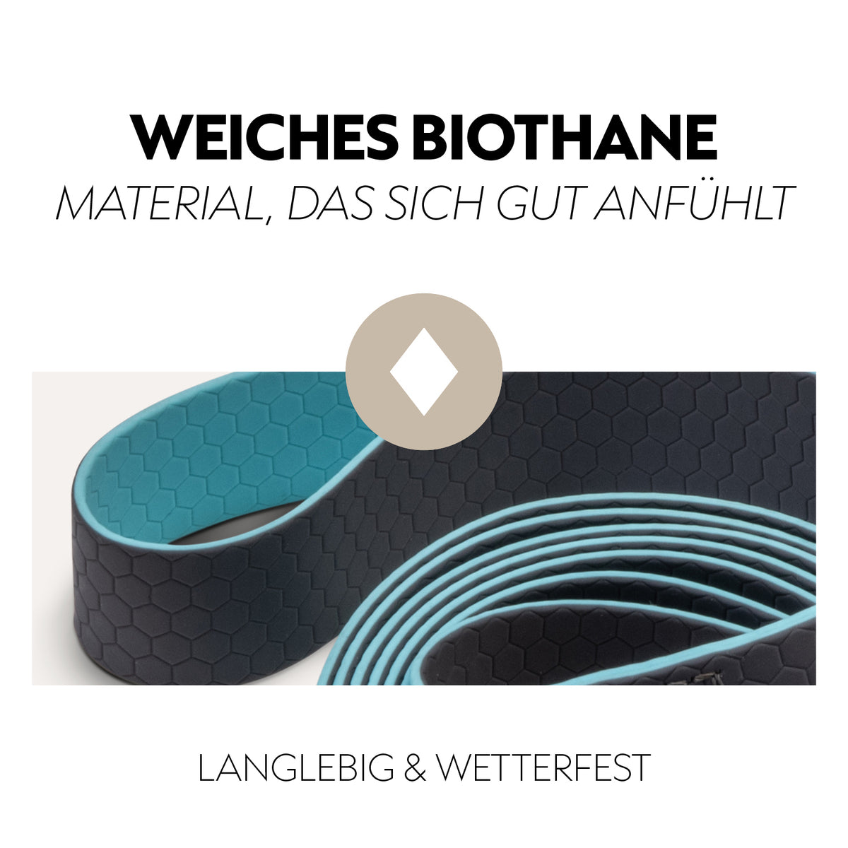 Biothane halter with lead rope