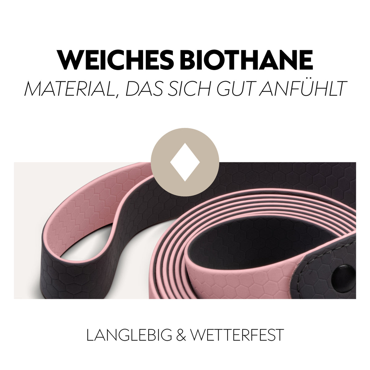 Biothane halter with lead rope