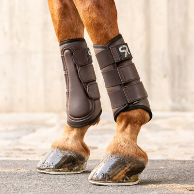 Leather dressage boots with bell boots (set of 4)