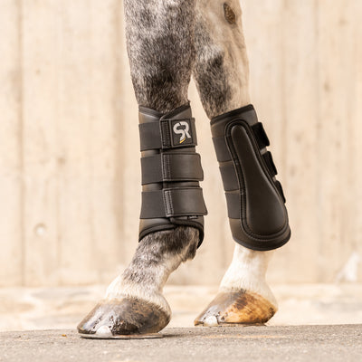 Leather dressage boots with bell boots (set of 4)