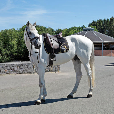 Leather reins without bars