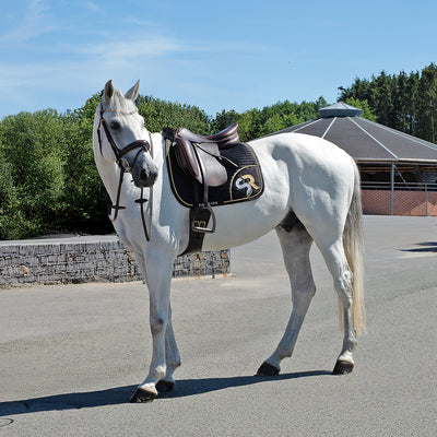 Leather reins without bars