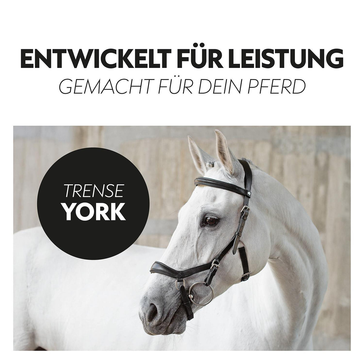 English combined bridle "York" with reins
