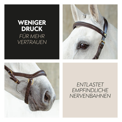 English combined bridle "York" with reins