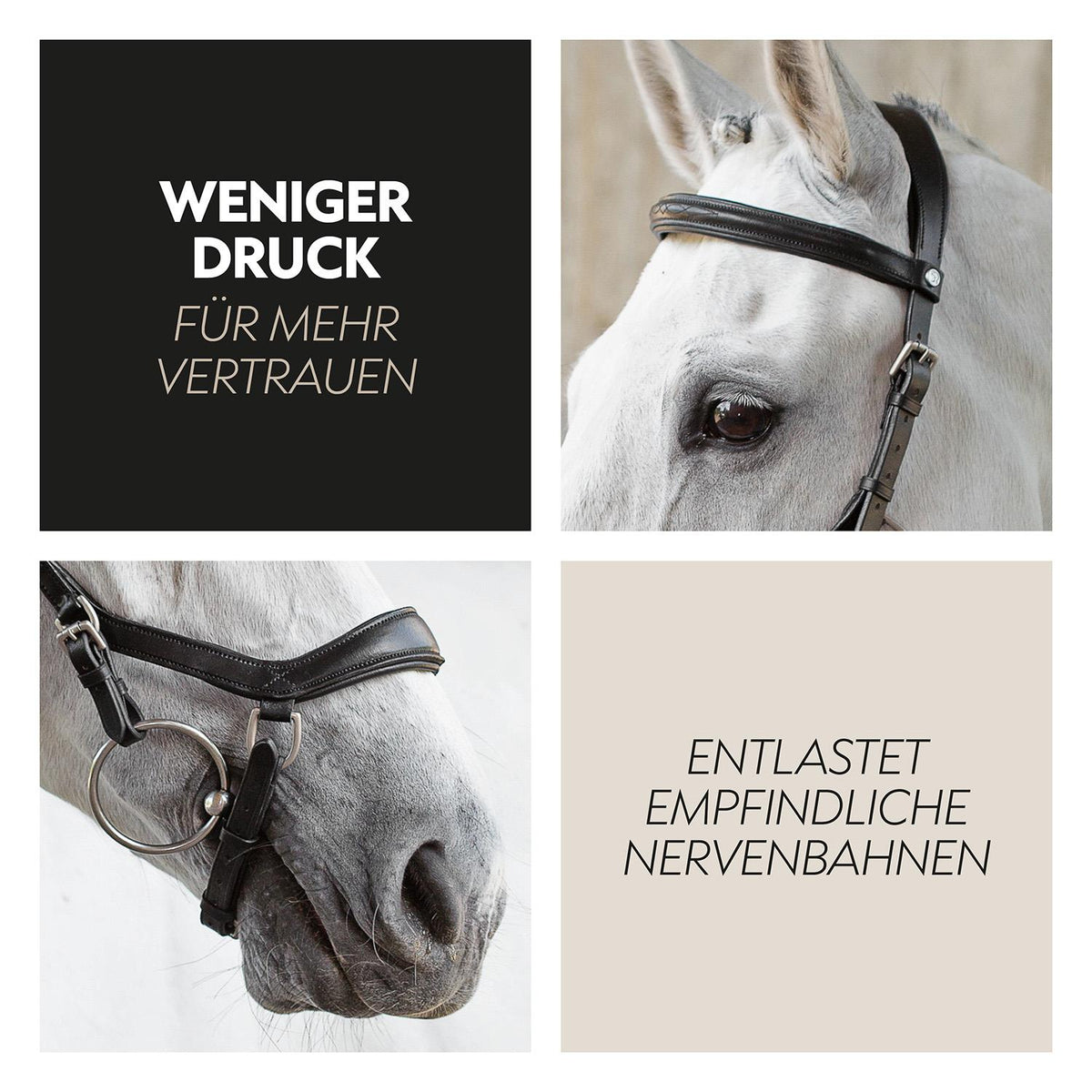English combined bridle "York" with reins