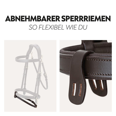 English combined bridle "Berlin" with reins