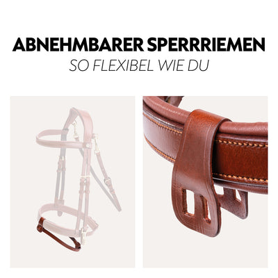 English combined bridle "Berlin" with reins