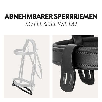 English combined bridle "Berlin" with reins