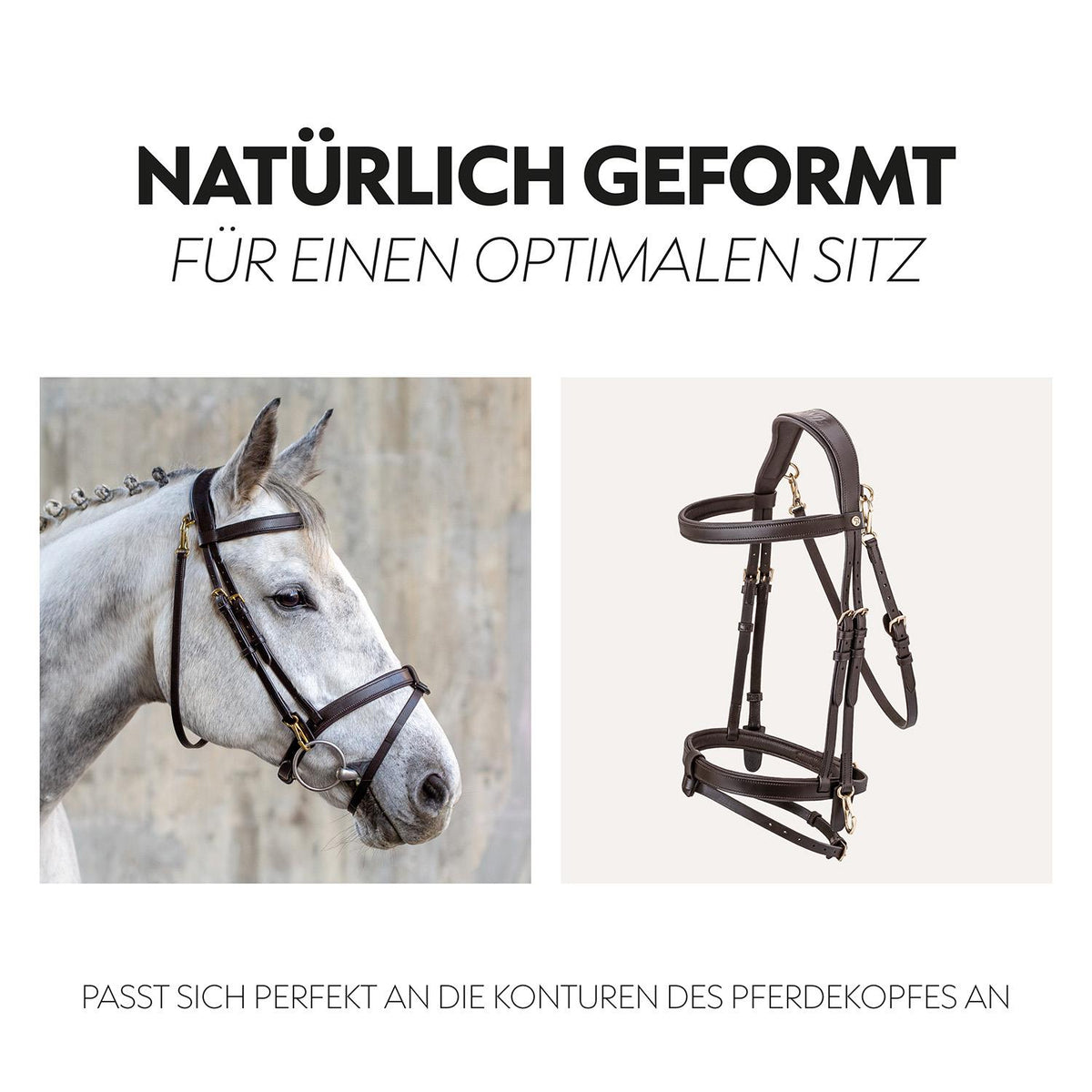 English combined bridle "Berlin" with reins