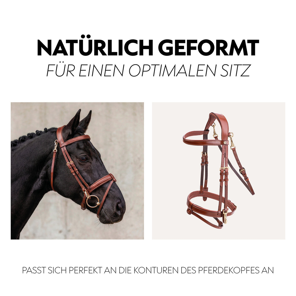English combined bridle "Berlin" with reins