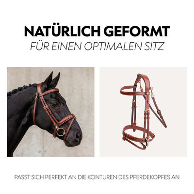 English combined bridle "Berlin" with reins