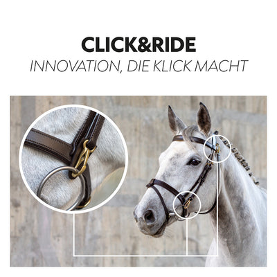 English combined bridle "Berlin" with reins
