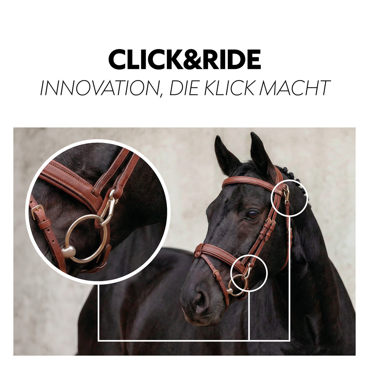English combined bridle "Berlin" with reins