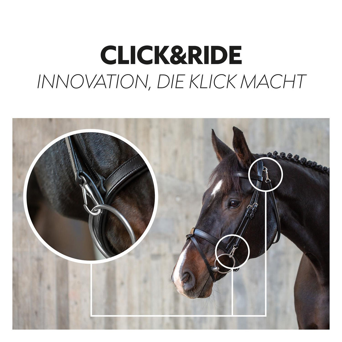 English combined bridle "Berlin" with reins