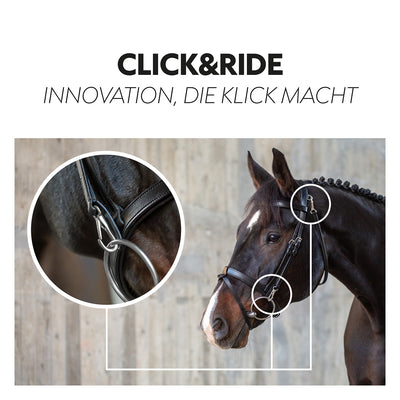English combined bridle "Berlin" with reins