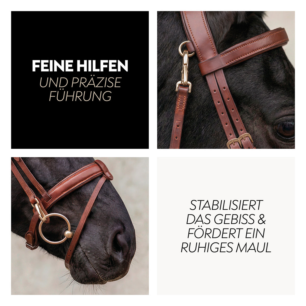 English combined bridle "Berlin" with reins