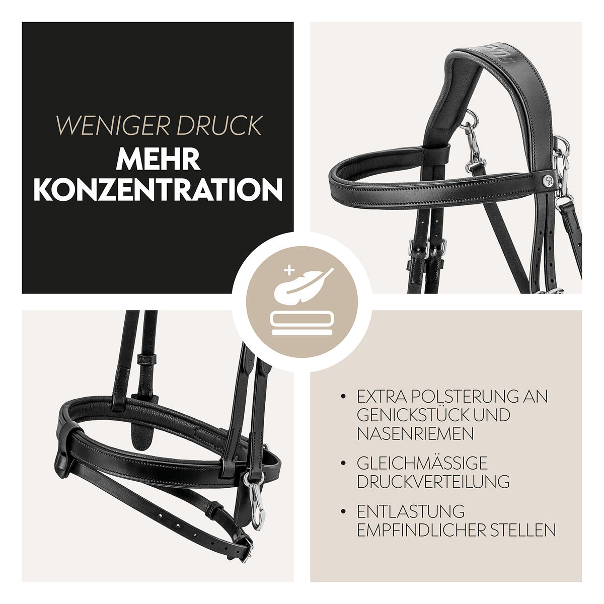 English combined bridle "Berlin" with reins