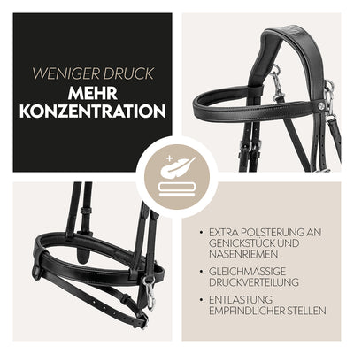 English combined bridle "Berlin" with reins