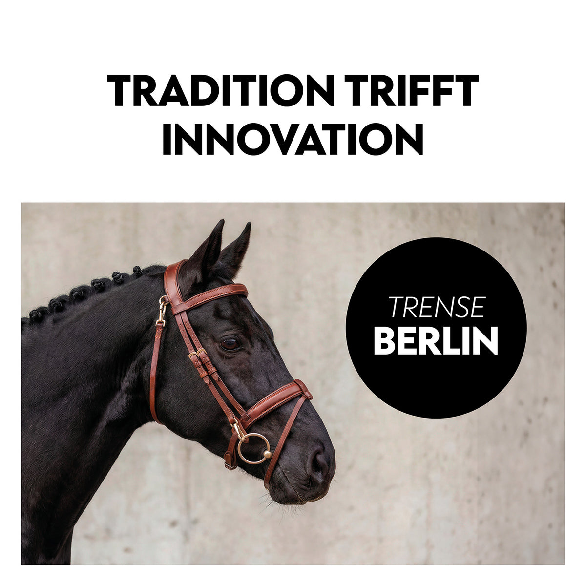 English combined bridle "Berlin" with reins