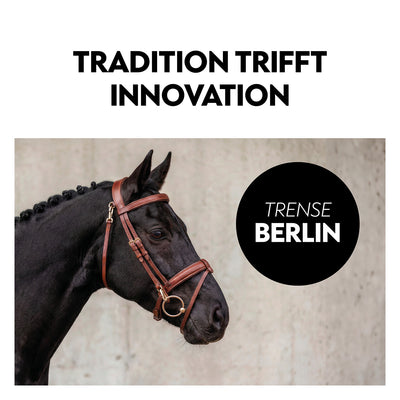 English combined bridle "Berlin" with reins