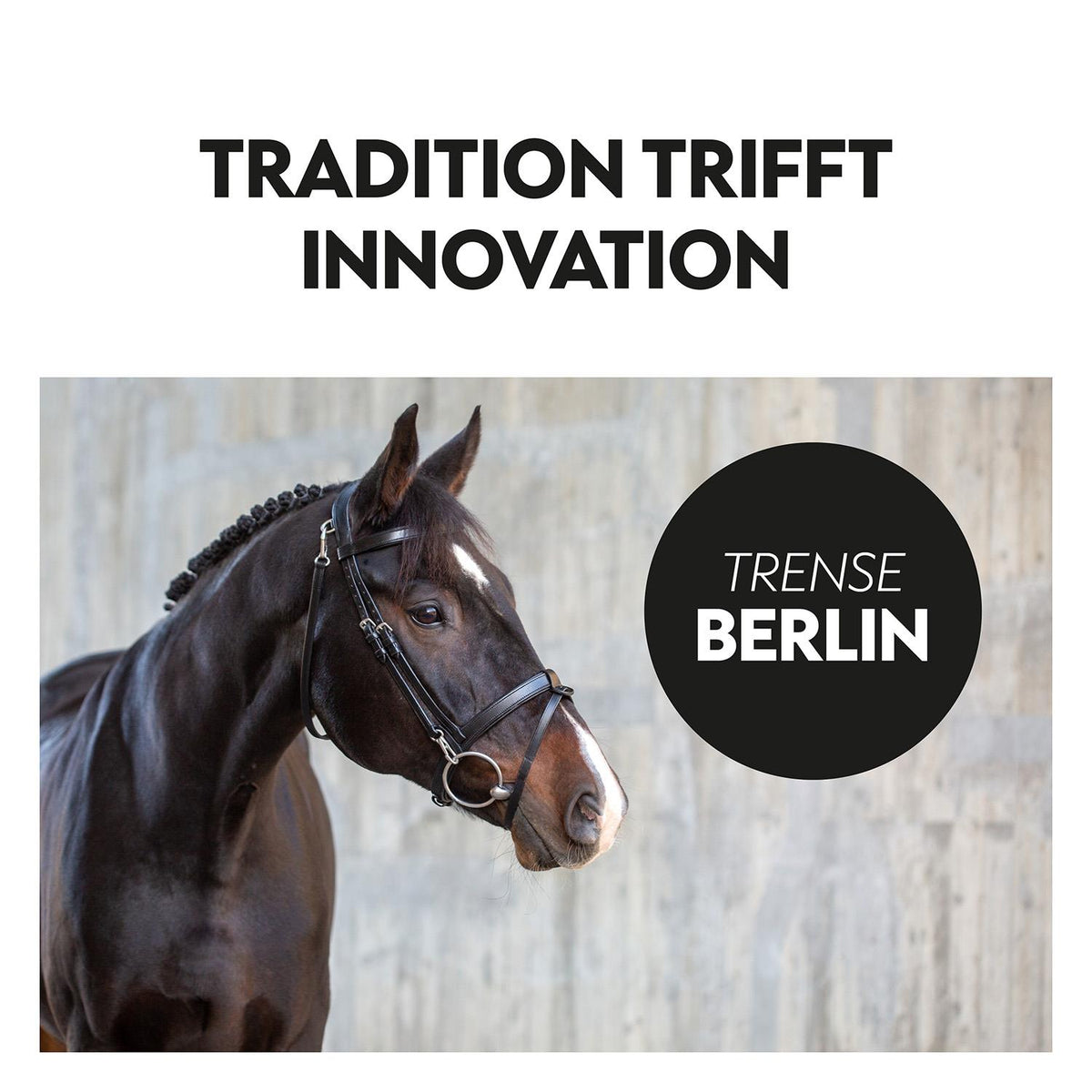 English combined bridle "Berlin" with reins