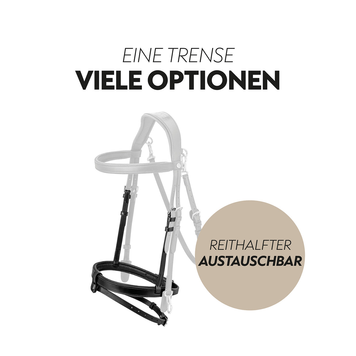 English combined bridle "Berlin" with reins