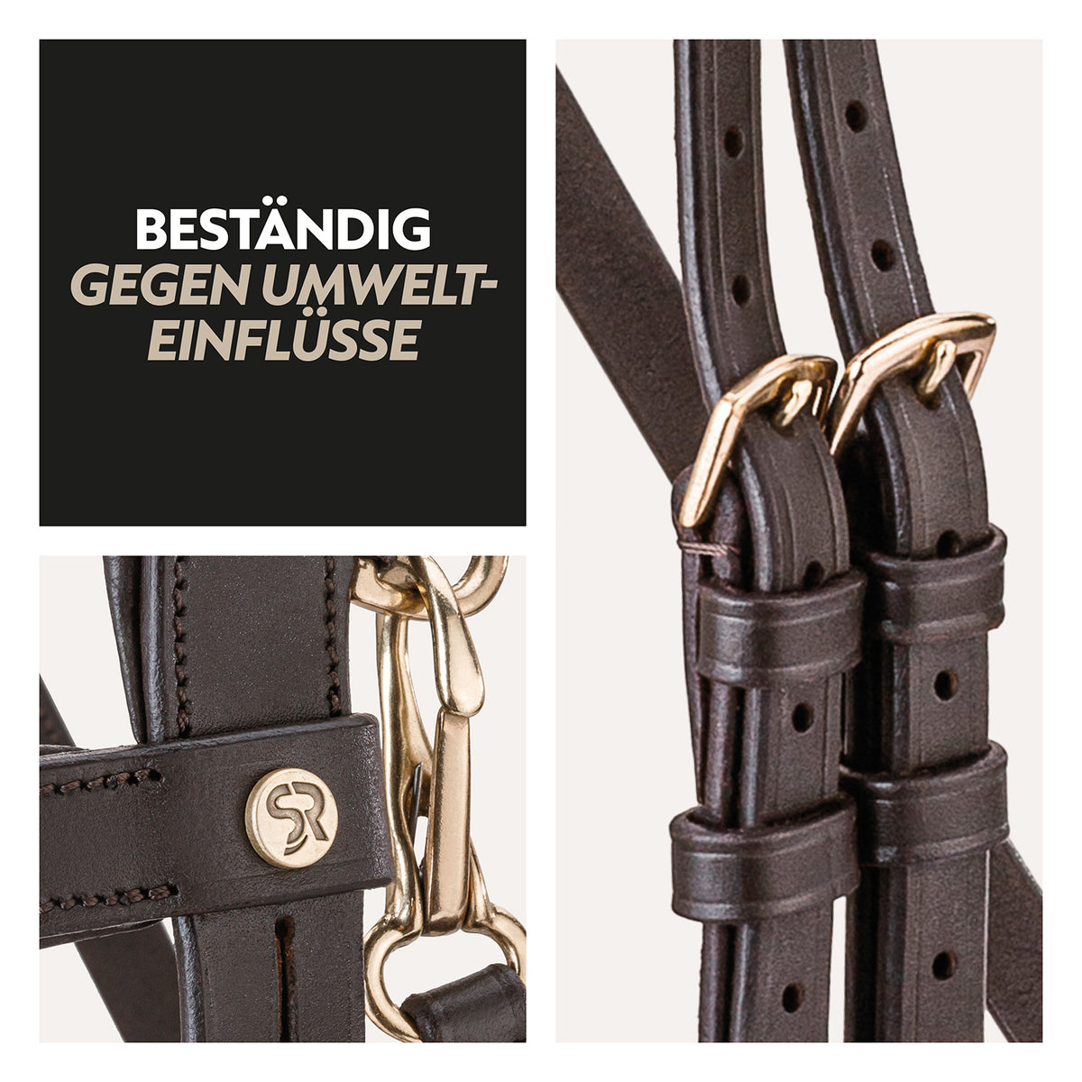 English combined bridle "Berlin" with reins